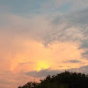 Meet your Posher, Annabel